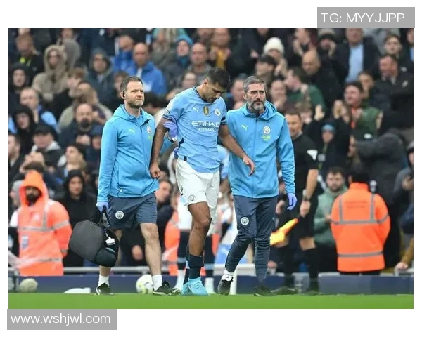 罗德里在曼城的崛起之路与战术价值解析